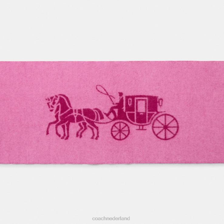 Coach vrouwen Uitlaat van kasjmier met paard en wagen diepe pruim 02264575