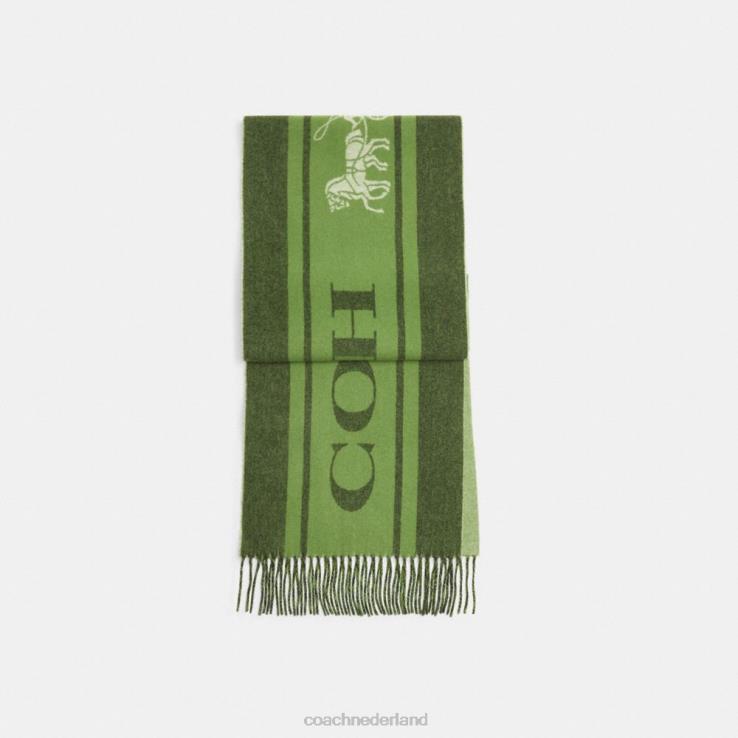 Coach vrouwen Varsity sport kasjmier uitlaatdemper Amazone groen 02264583