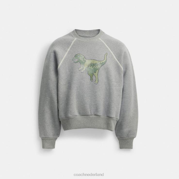 Coach vrouwen rexy sweatshirt met ronde hals grijs 02264483